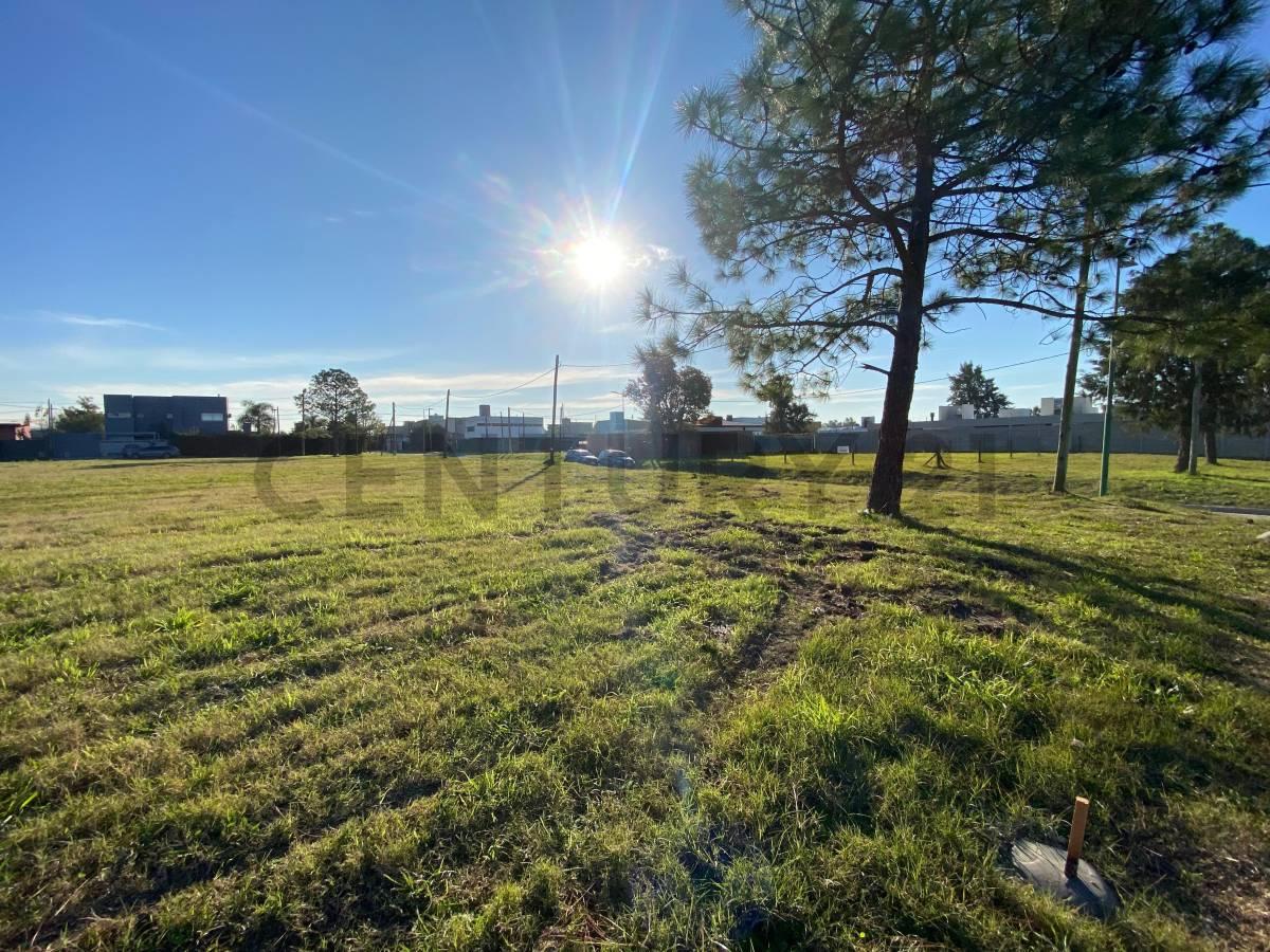 Terreno en venta Joaquin Gorina - Barrio Los Enriques — foto 1