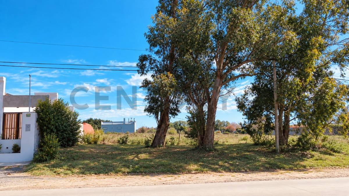 Venta lote sobre Avenida Pedersen — foto 1