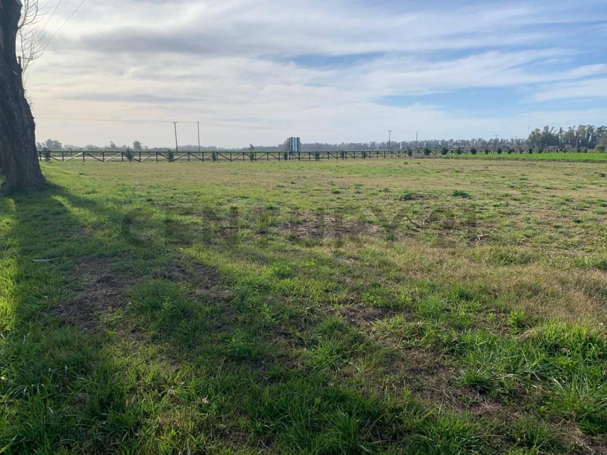 VENTA CAMPO LOTE SAN ANDRES DE GILES 3000 M2 — foto 1