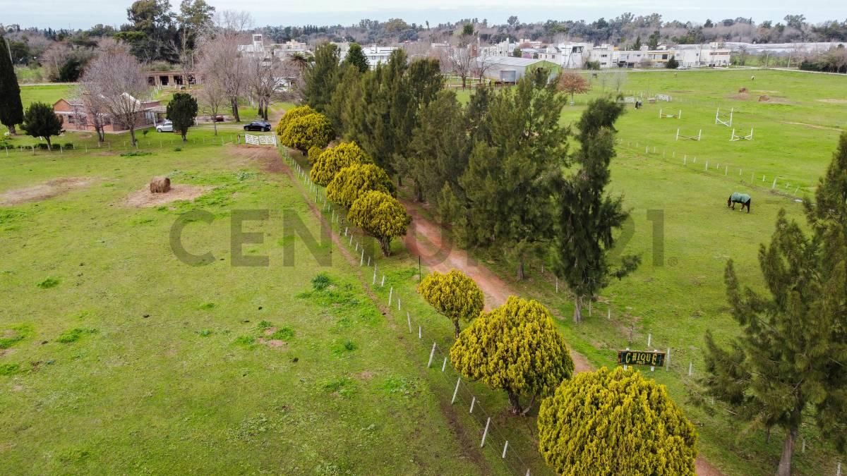 VENTA DE FRACCION 8 HECTAREAS. VILLA ELISA. — foto 1
