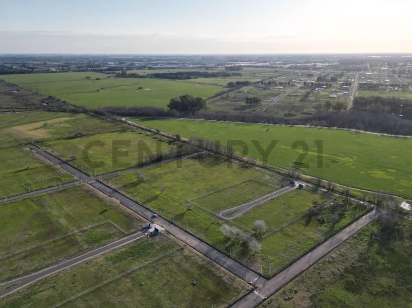 501 y 161, Lote en Senderos Gorina La Plata — foto 1