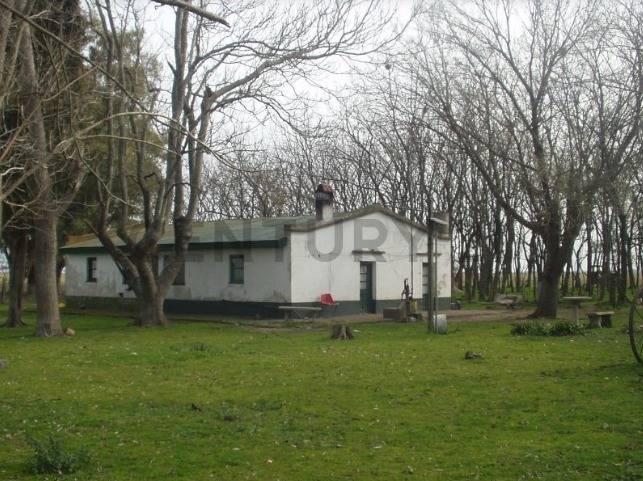 Campo en venta en Chascomús — foto 1