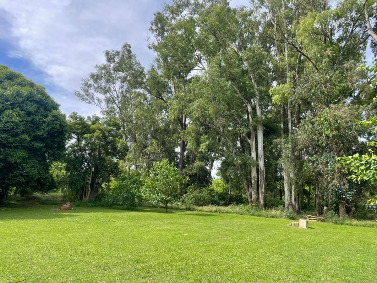Fraccion quinta en venta en Arturo Segui — foto 1