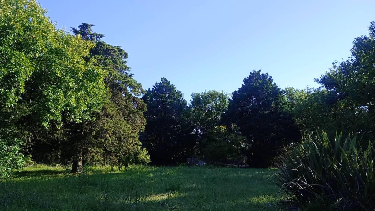 LOTE EN VENTA EN VILLA ELISA - LA PLATA — foto 1