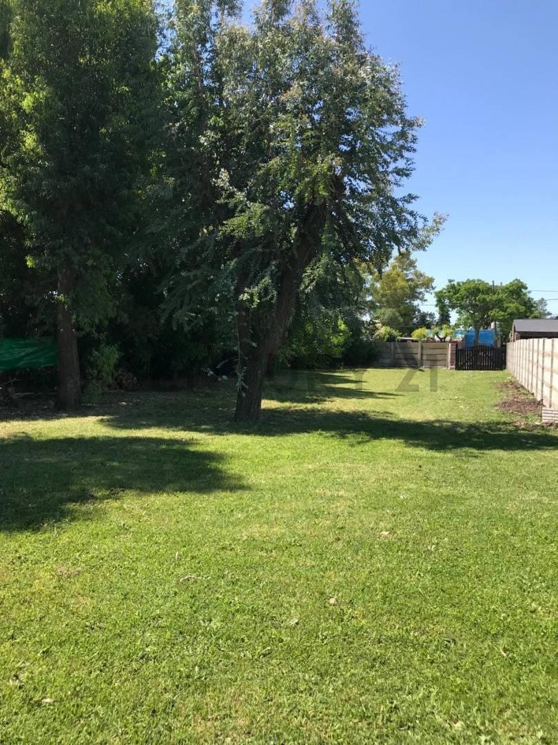 138 entre 35 y 36 LOTE DE TERRENO 780 METROS EN VENTA LA PLATA — foto 1