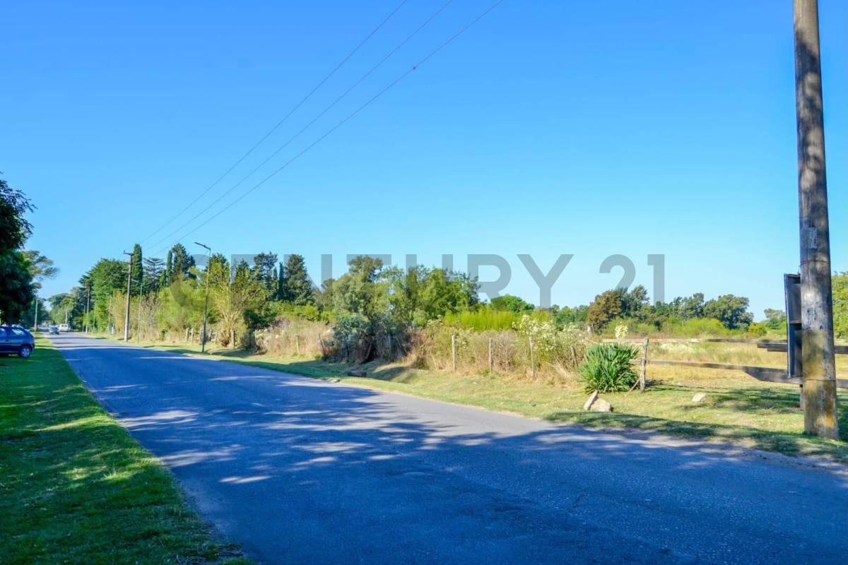 VENTA LOTE EN VILLA ELISA - BARRIO EL NAZARENO — foto 1