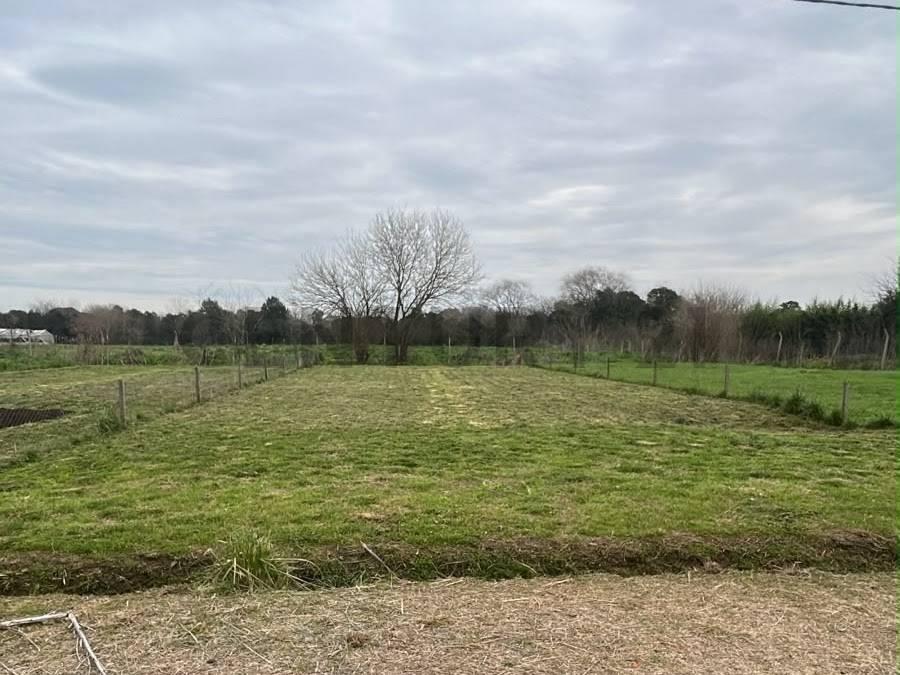 LOTE TERRENO EN VENTA EN CITY BELL — foto 1