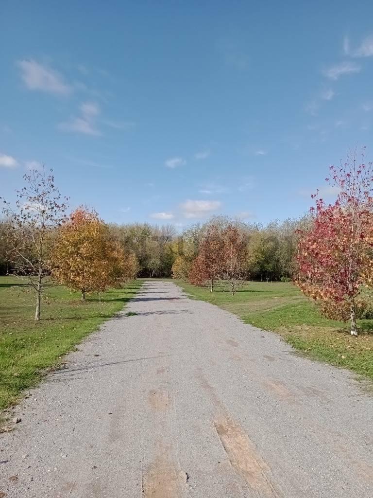 LOTES EN VILLA ELISA — foto 1