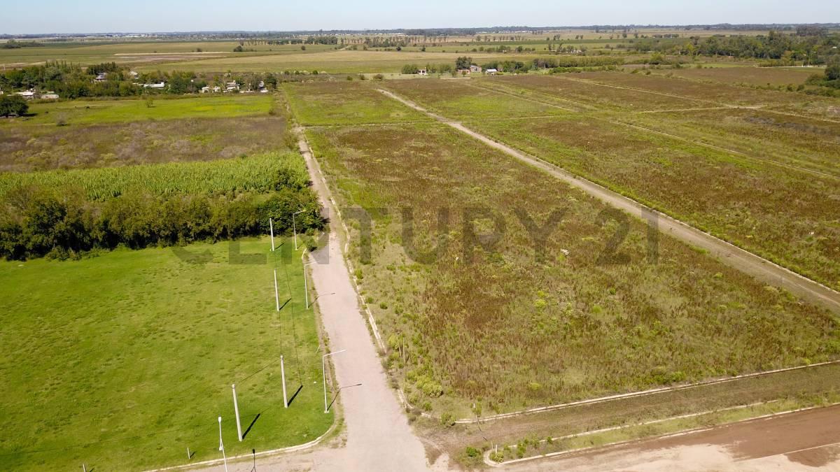 Venta Lote en barrio abierto El Naranjo II, Ibarlucea — foto 1