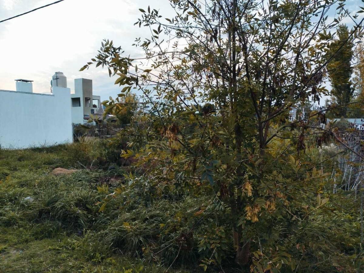 Venta de Lote en Parque Sicardi — foto 1