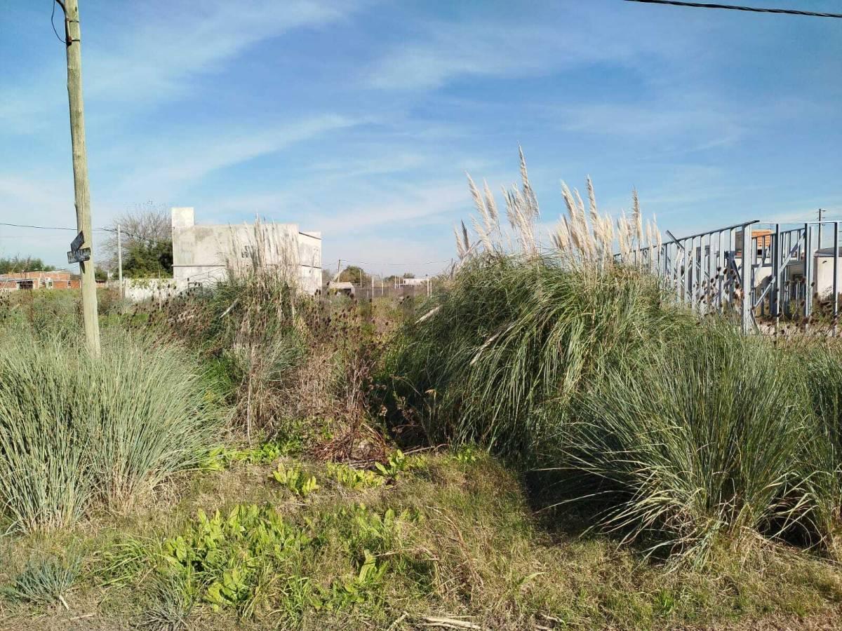 VENTA DE TERRENO EN MELCHOR ROMERO, LA PLATA. POSIBILIDAD DE FINANCIACION — foto 1