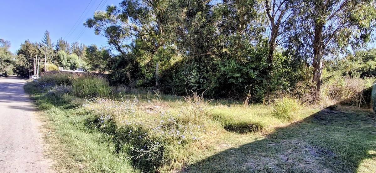 Venta de terrenos en Sicardi, sobre calle 9 entre 659 y 660 a metros del asfalto — foto 1
