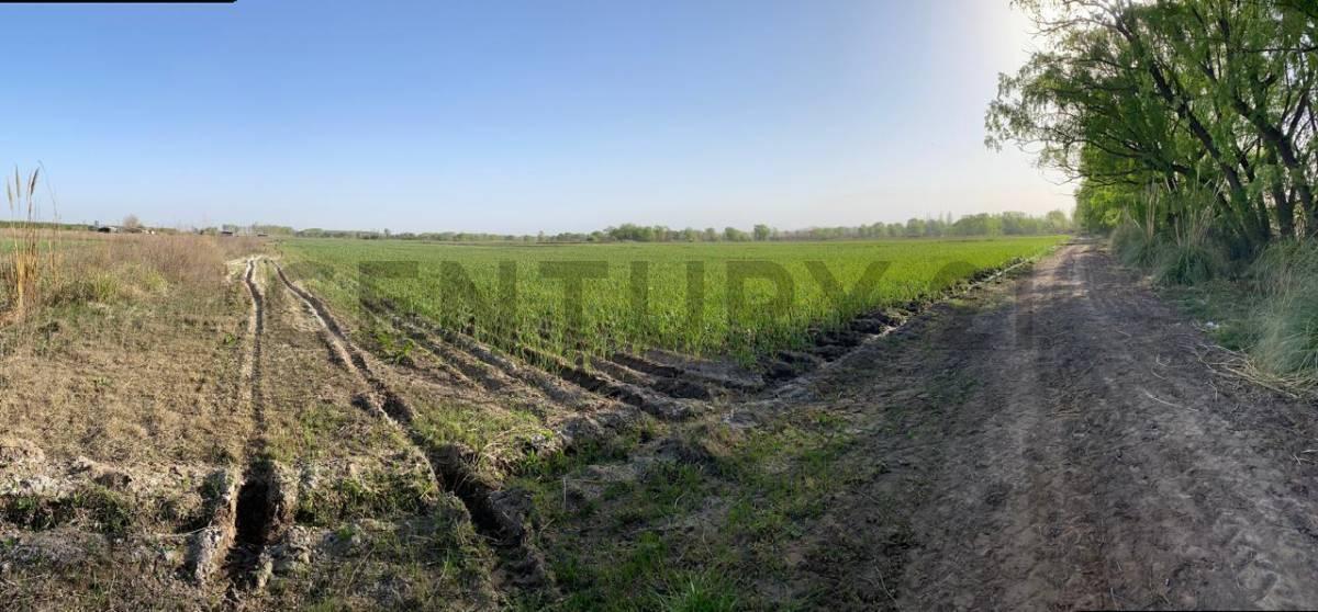FINCA EN VENTA SAN CARLOS — foto 1