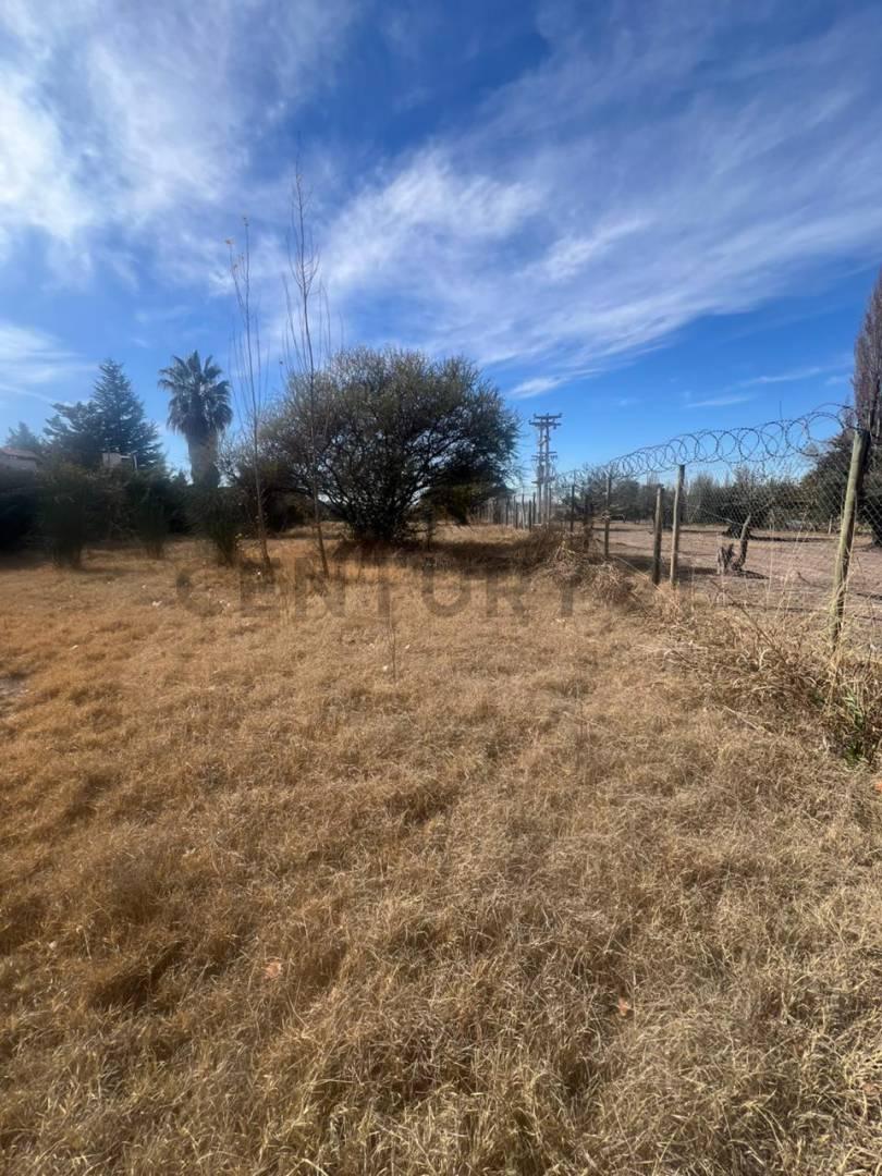 Lote en GUARDIA VIEJA — foto 1