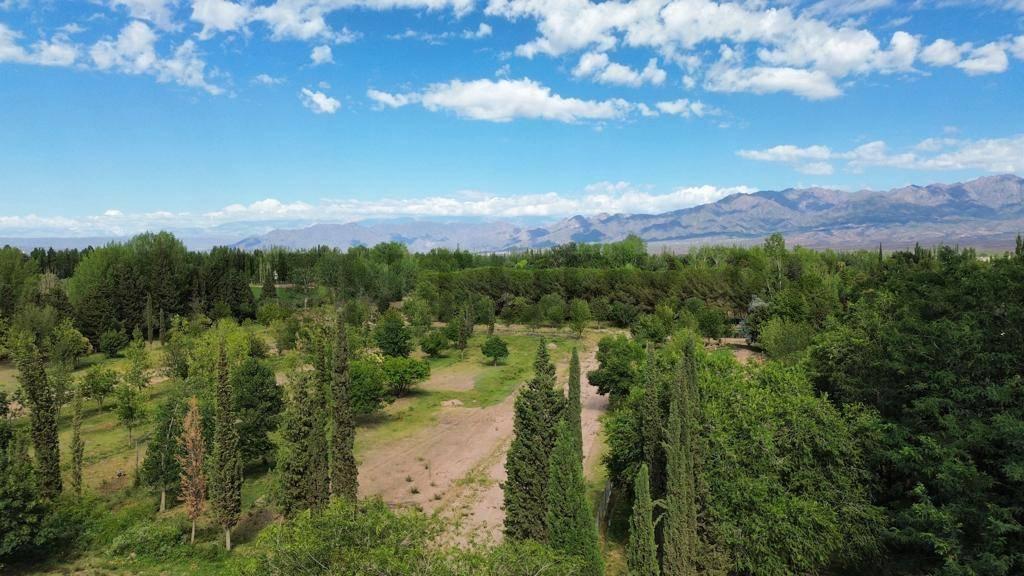 LOTE EN VENTA BARRIO PRIVADO "DON BENJAMIN" — foto 1