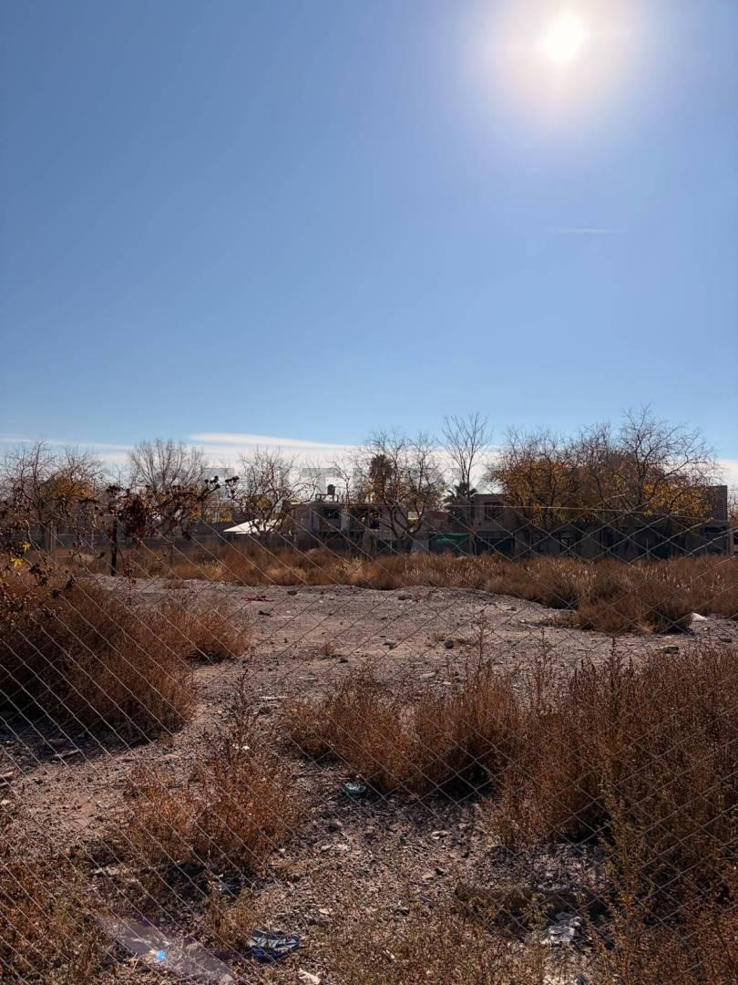 LOTES EN EL ZAPALLAR — foto 1