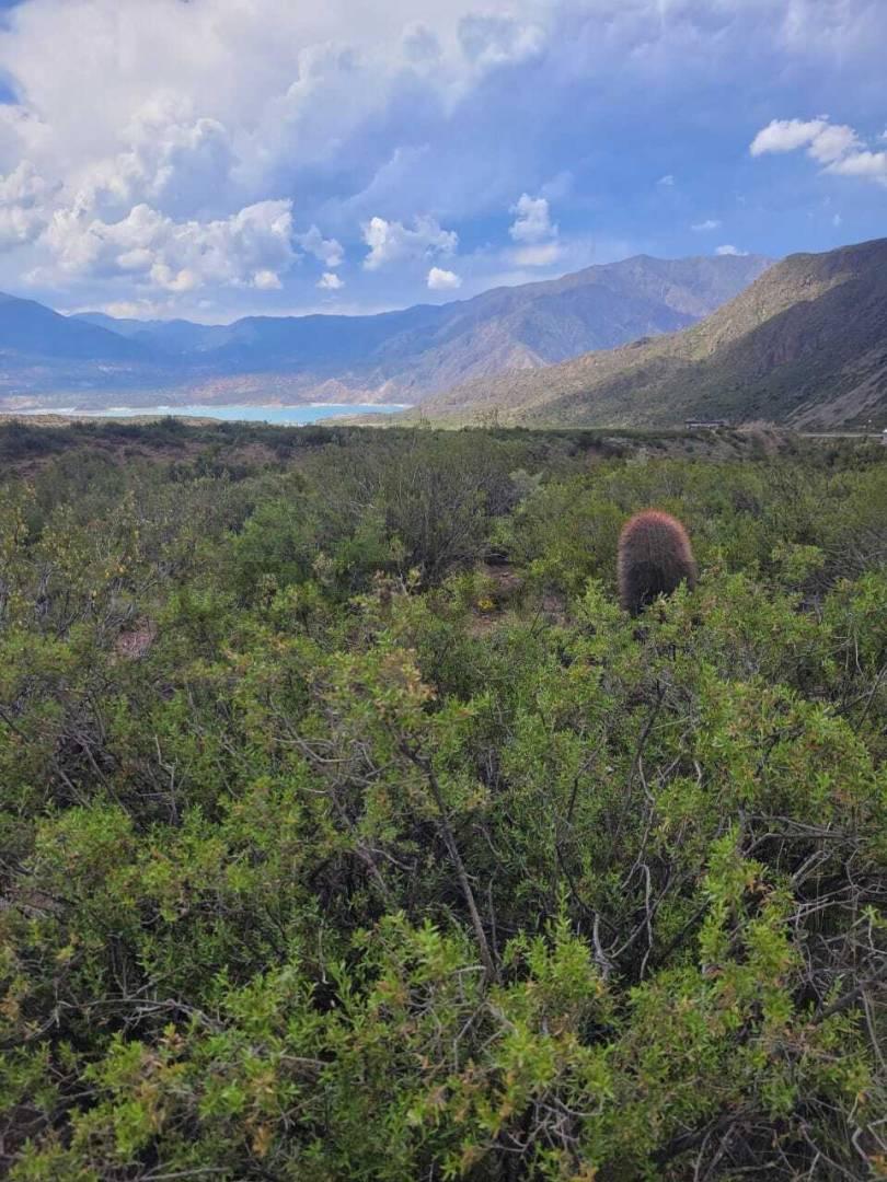 VENTA DE LOTE CON PROYECTO DE CABAÑAS EN POTRERILLOS MENDOZA — foto 1