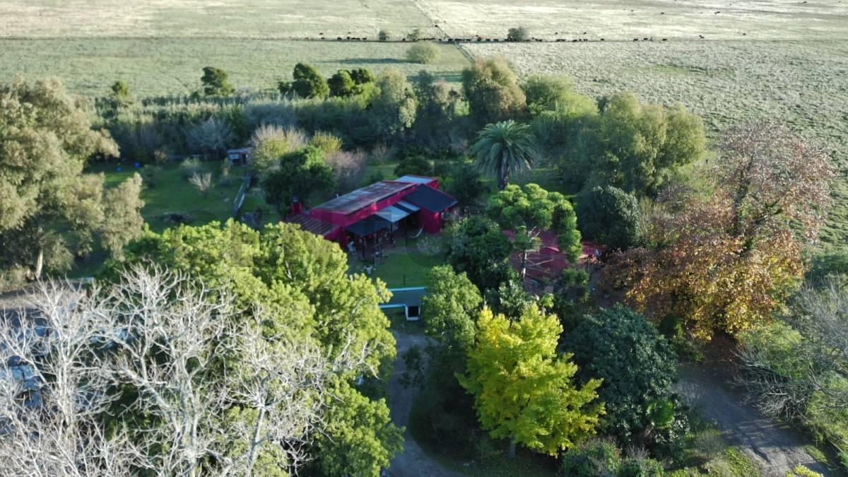 VENTA – CHACRA DE 8 HECTÁREAS PARQUIZADAS EN MAGDALENA — foto 1