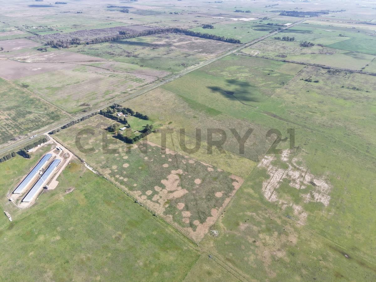 Ruta 36 km 94 MAGDALENA - CAMPO/FRACCIÓN A LA VENTA — foto 1