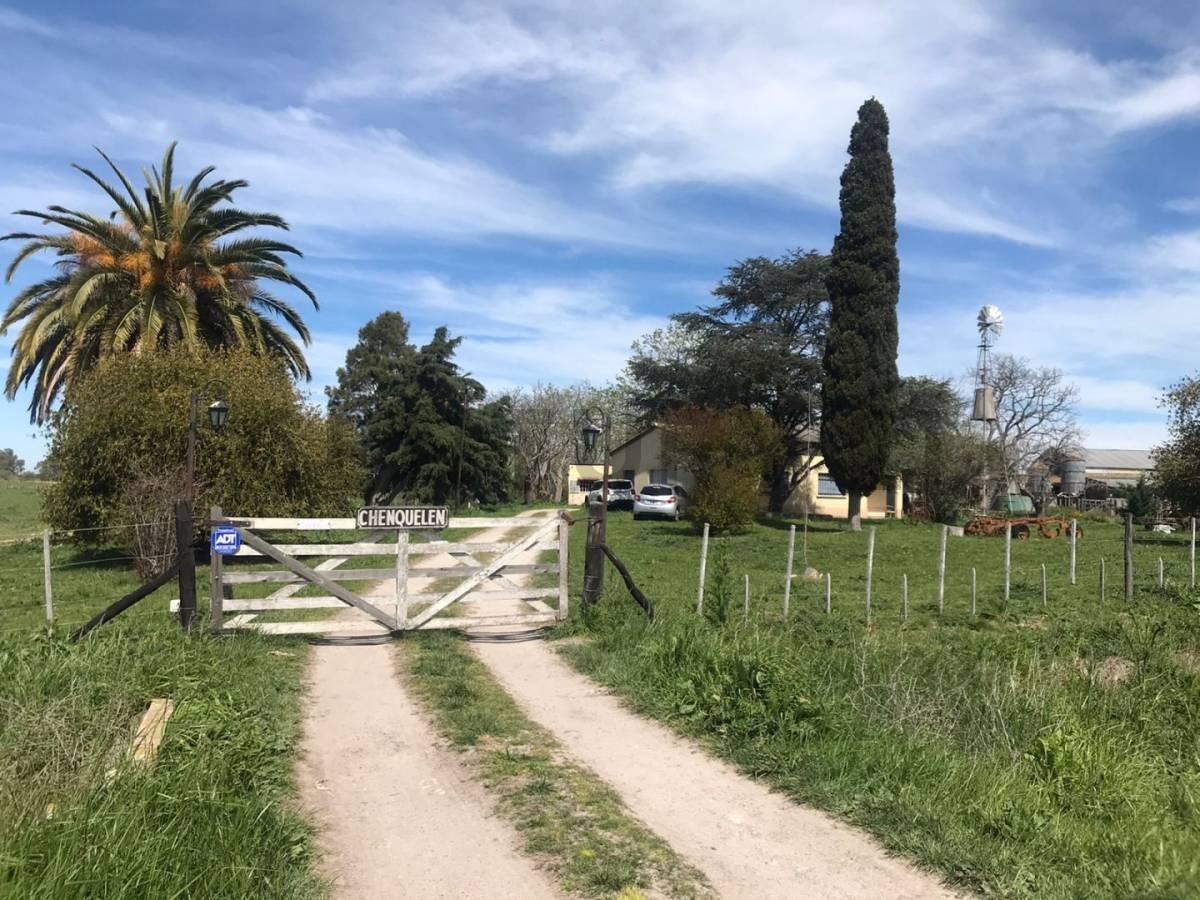 Campo en venta en Magdalena — foto 1