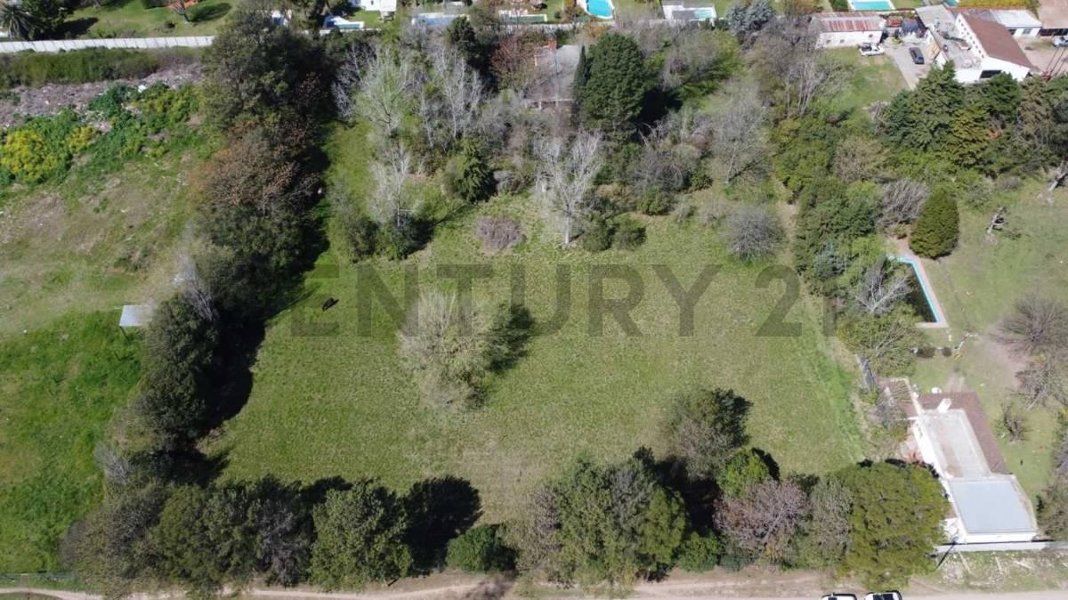 Venta Terreno 10000 metros — foto 1