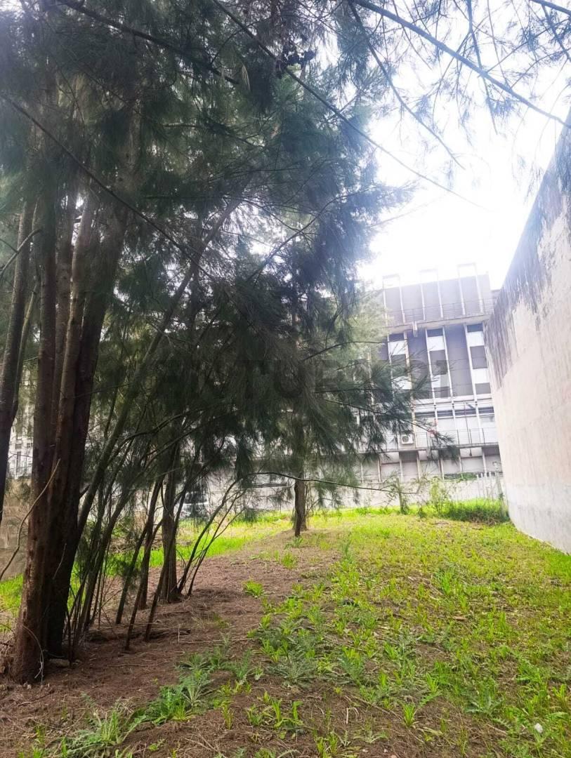VENTA LOTE COMERCIAL PREMIUM 579M² | KM 50- PILAR | TODOS LOS SERVICIOS — foto 1