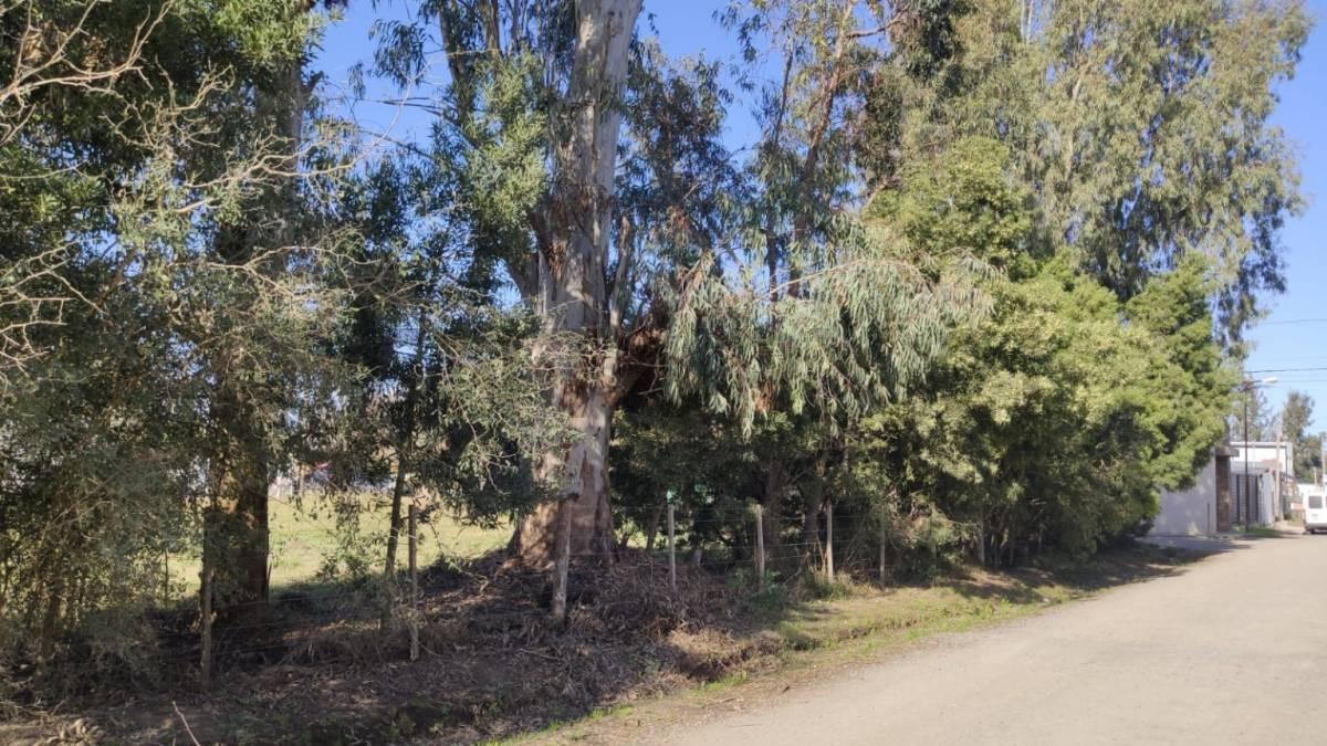 LOTES EN VENTA - BARRIO PARQUE SICARDI — foto 1