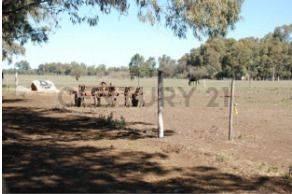 Venta de Campo, Ciudad de Oriente, Coronel Dorrego — foto 1