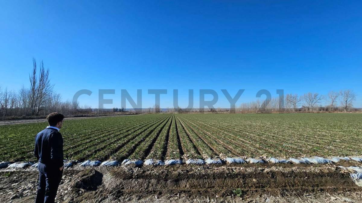FINCA EN VENTA | 2 HECTÁREAS | TUPUNGATO, MENDOZA — foto 1