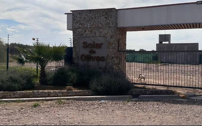 LOTES BARRIO SOLAR DE OLIVOS - MAIPU EN VENTA — foto 1
