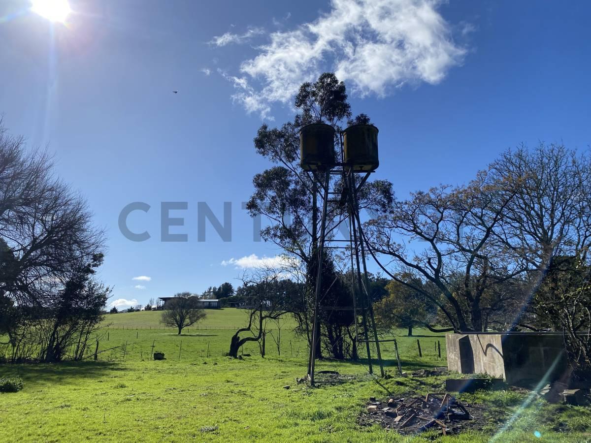 VENTA CAMPO 10 HECTAREAS SIERRA DE LOS PADRES ESCUCHO OFERTA RAZONABLE — foto 1