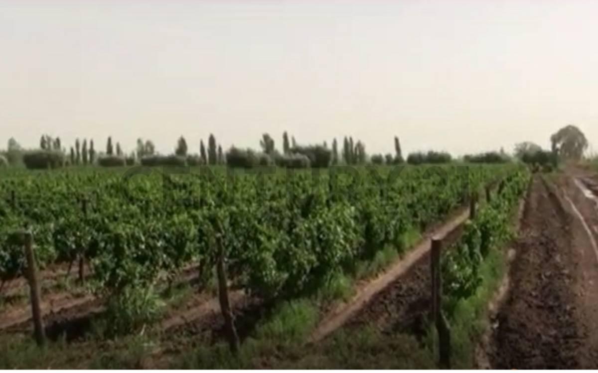 Finca con casco de estancia en Palmira — foto 1