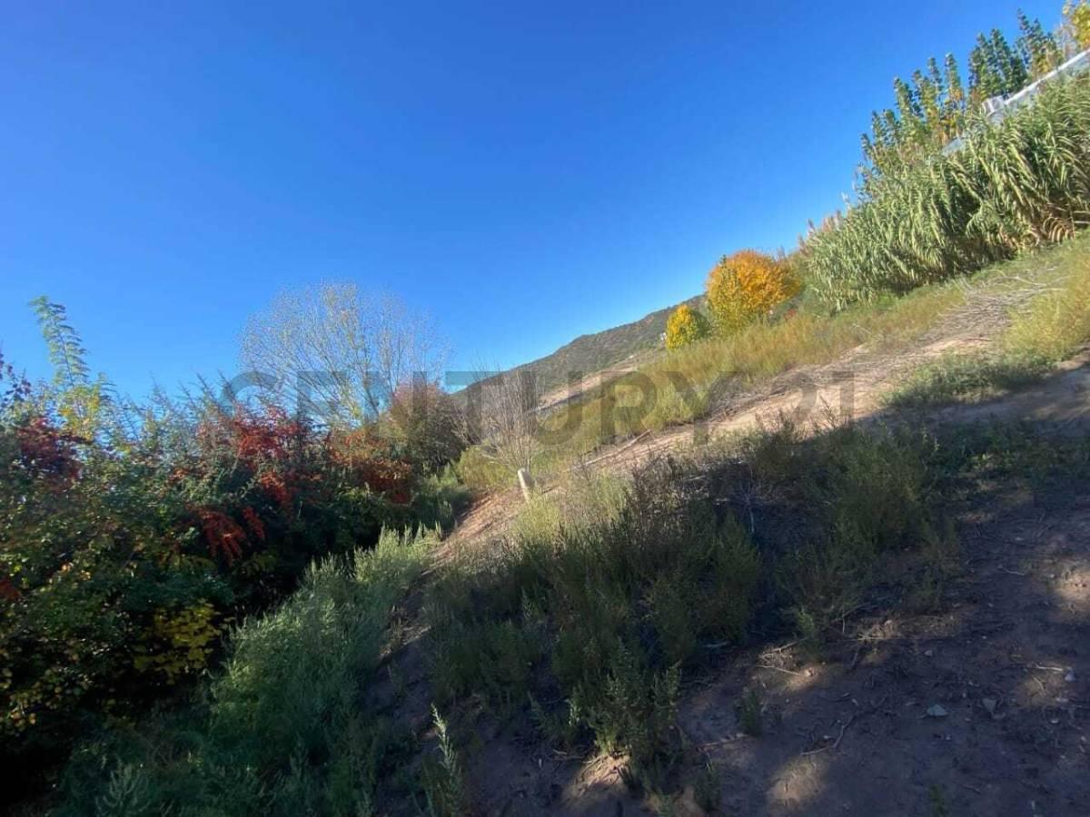 SE VENDE LOTE, PERDRIEL - LUJAN DE CUYO — foto 1