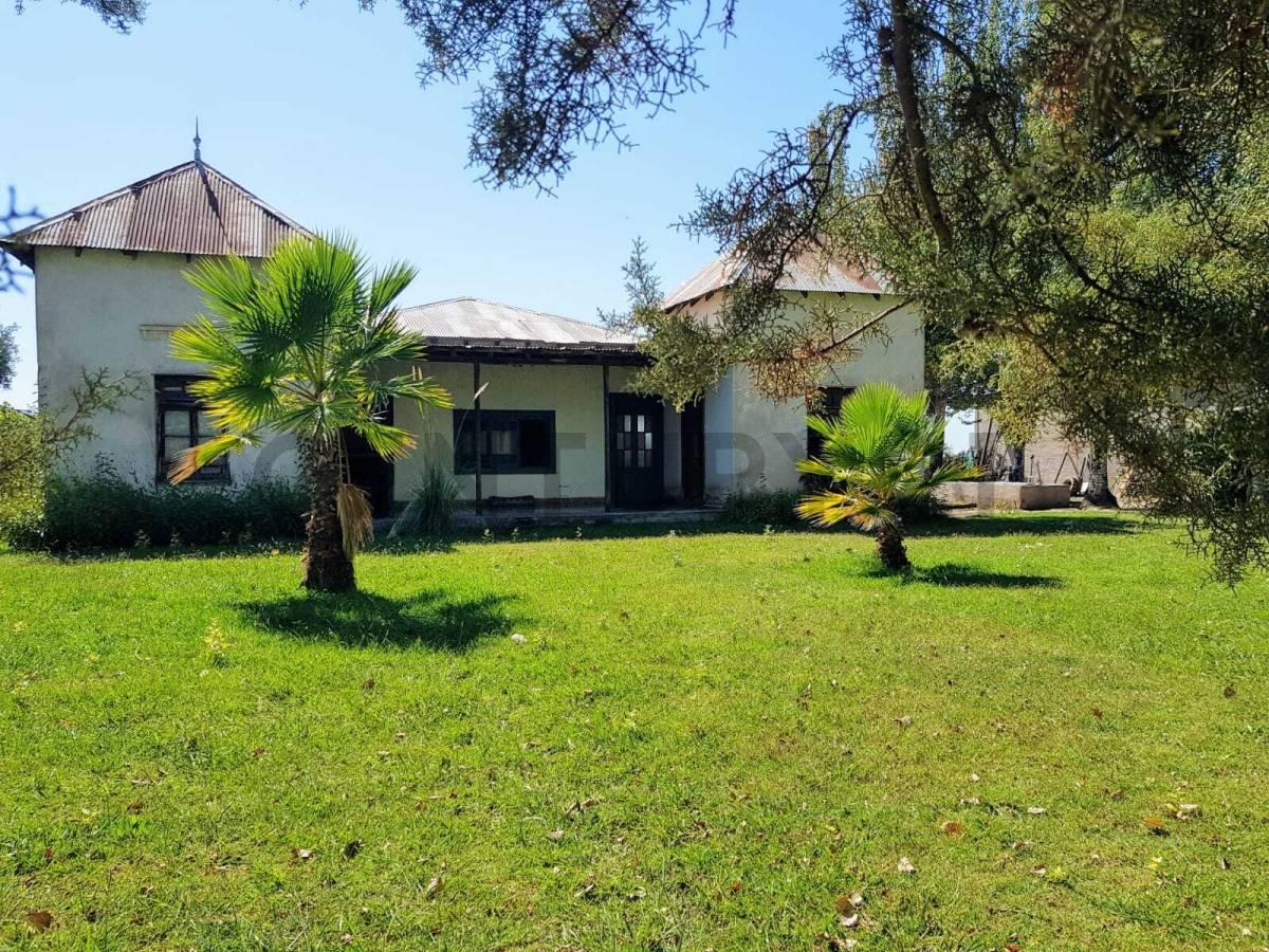 Century 21 vende Finca en Vista Flores, Tunuyán, Mendoza — foto 1