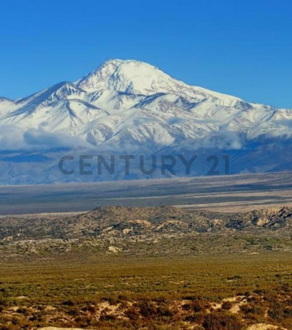 Century 21 vende 60 hectáreas de chacra en Valle de Uco — foto 1