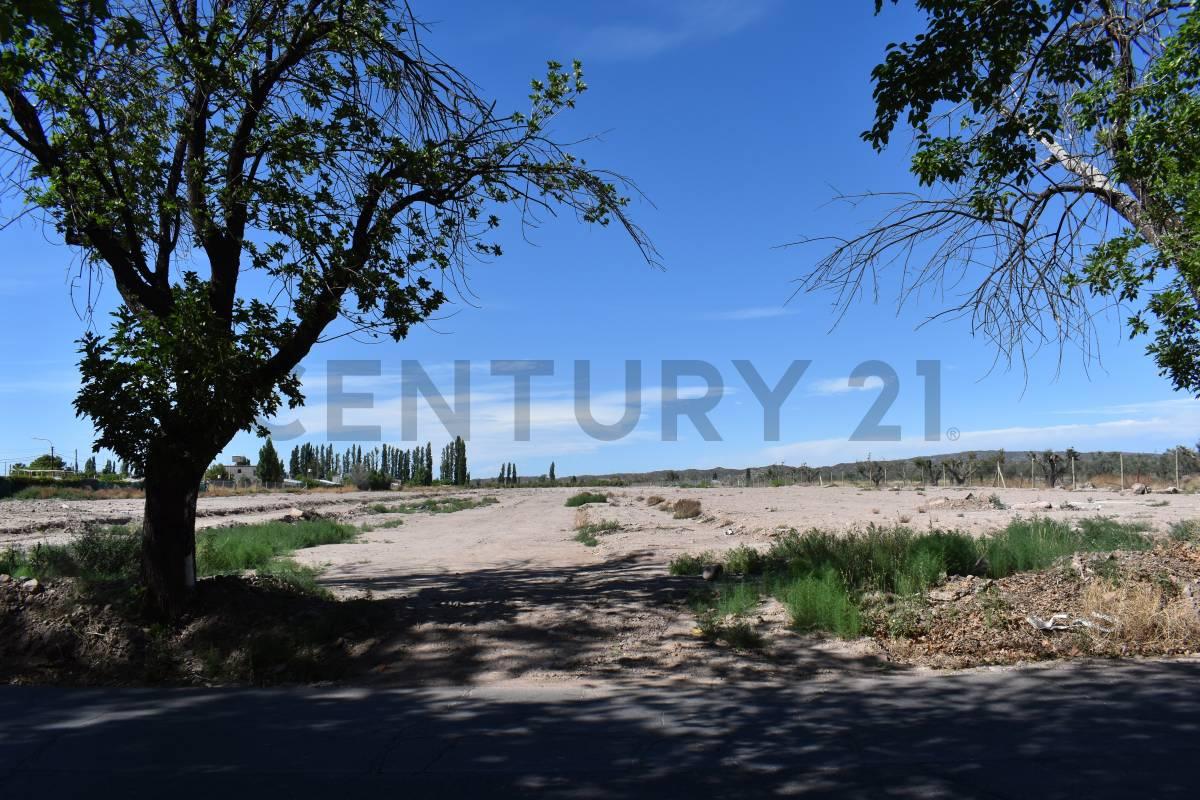 LOTE EN VENTA - CRUZ DE PIEDRA MAIPU — foto 1