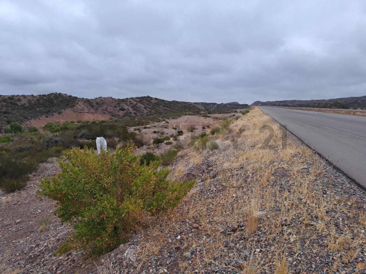 TERRENO EN VARIANTE PALMIRA RUTA NACIONAL 7,( LUJAN DE CUYO, MENDOZA). — foto 1