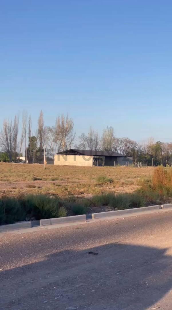 Terreno en micrópolis Penta. — foto 1