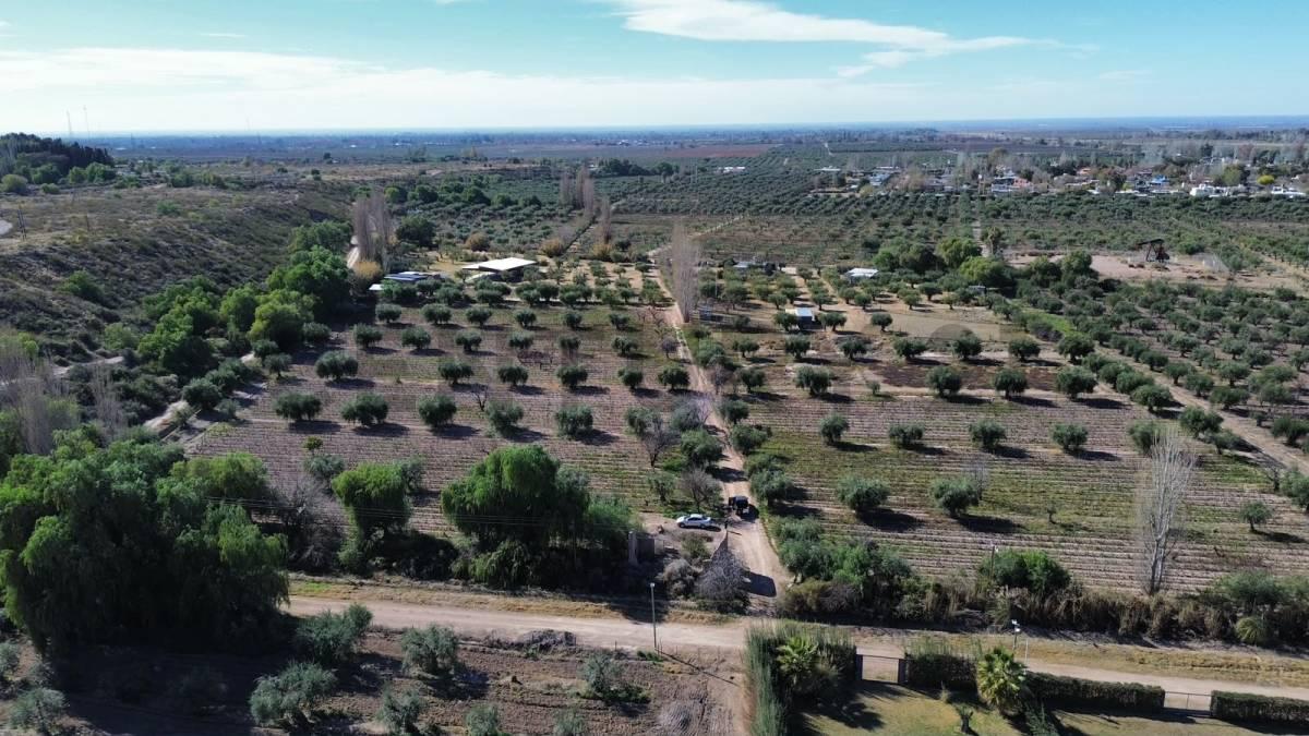 VENTA DE FINCA EN LUNLUNTA — foto 1