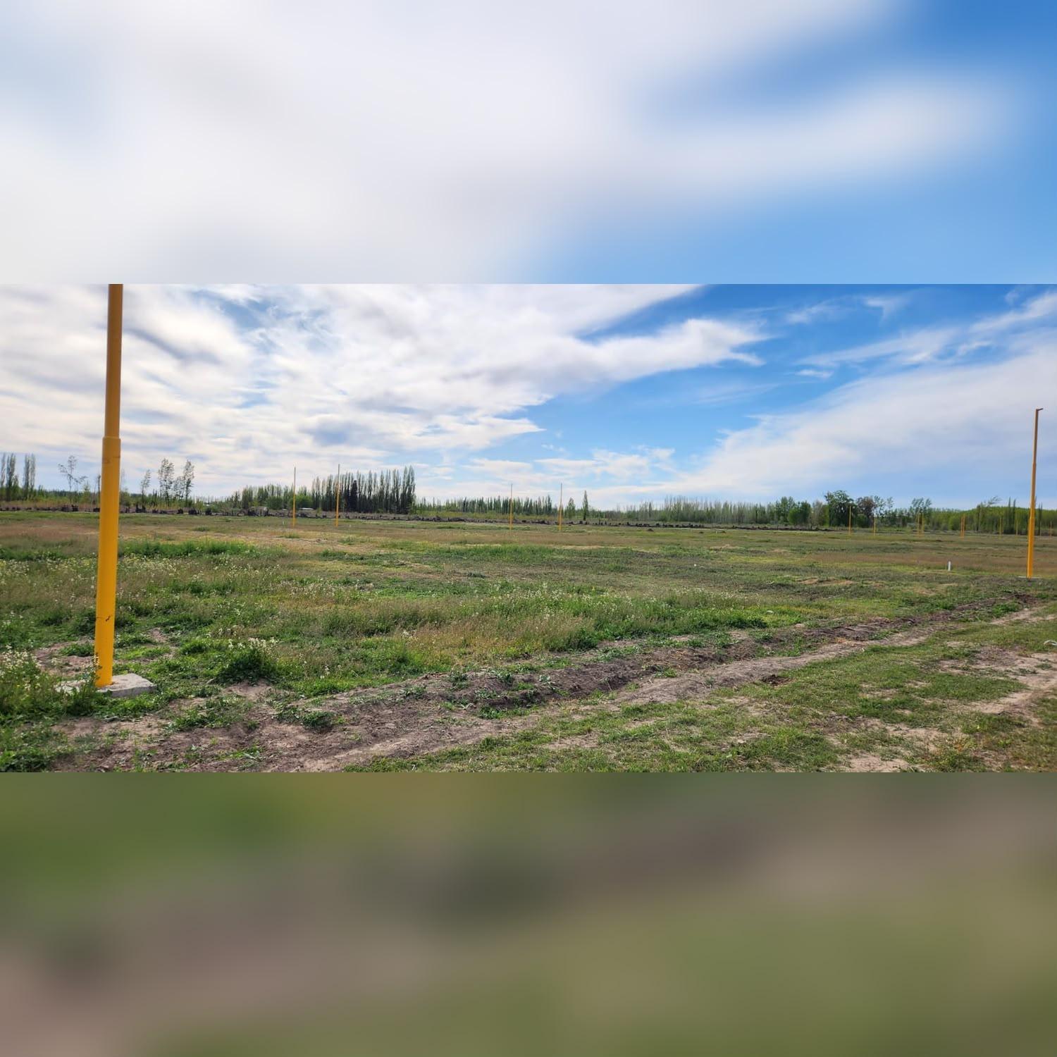 Terreno en venta en Cervantes — foto 1