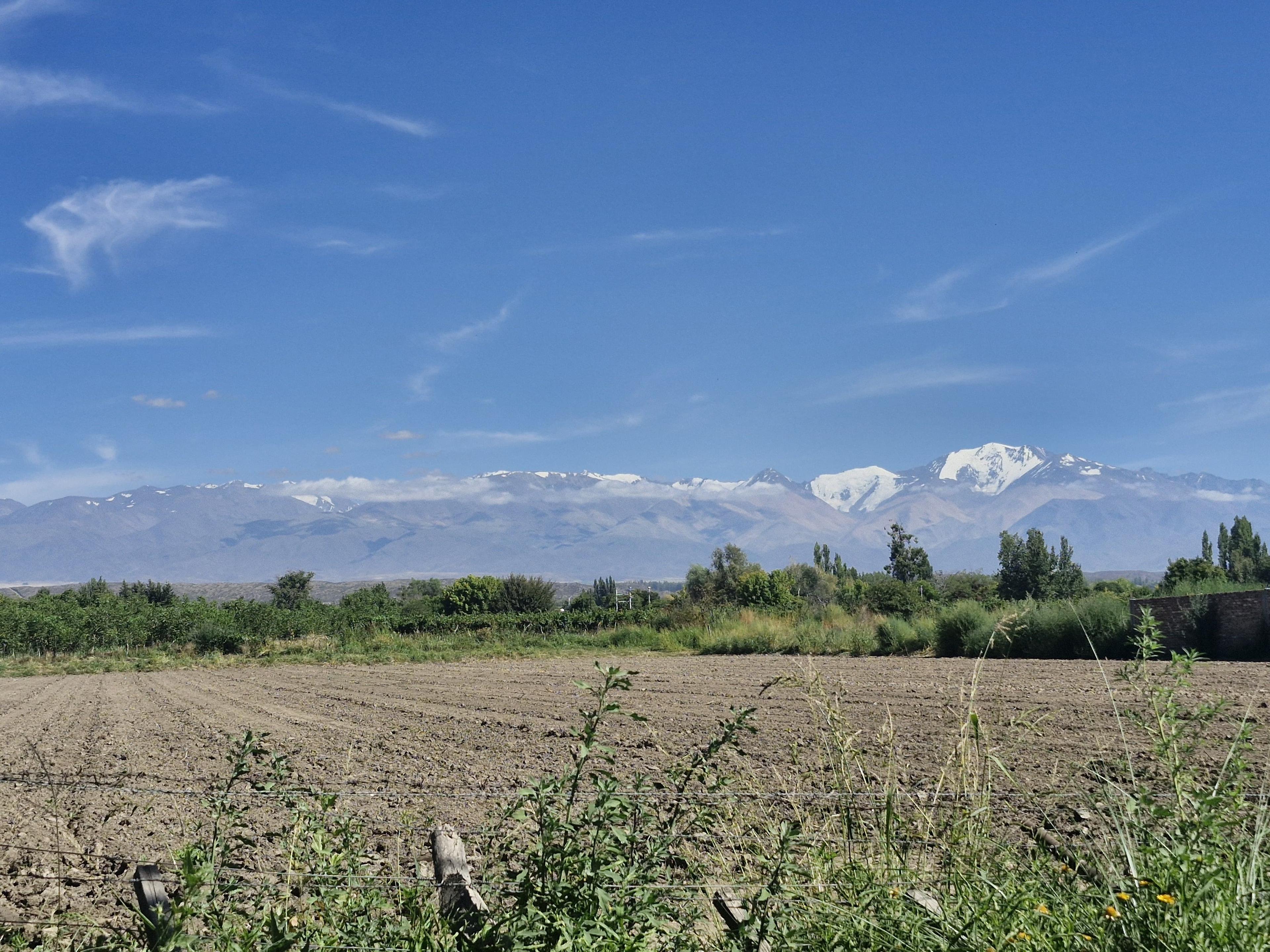 TERRENO EN VENTA VISTA FLORES TUNUYAN — foto 1