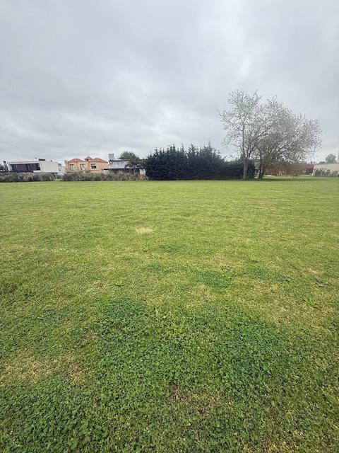 Terreno en venta en La Reja — foto 1