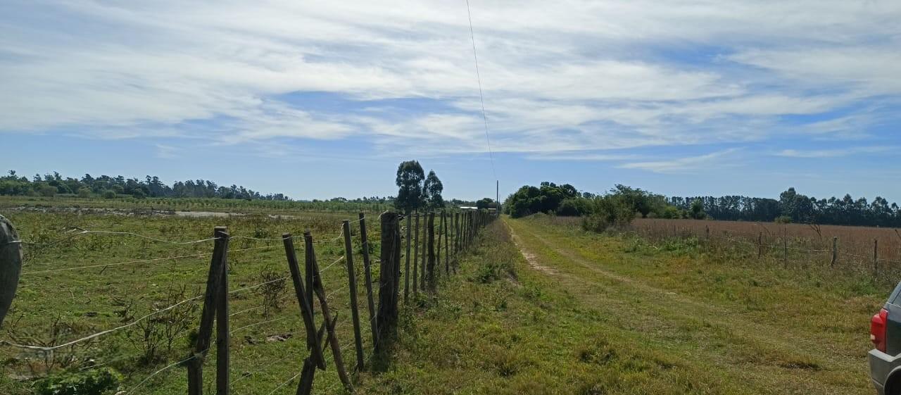 Campo en venta + casa en Bellas Vista, Corrientes — foto 1